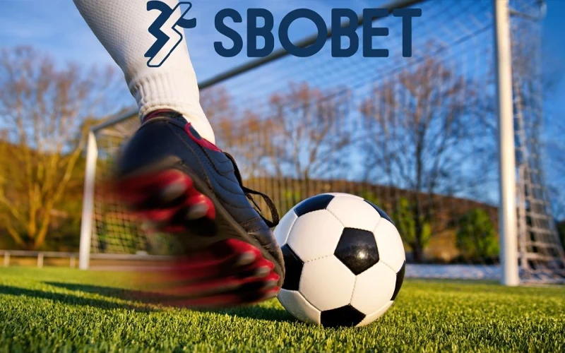 Đôi nét giới thiệu về Thể thao SBObet 7ball